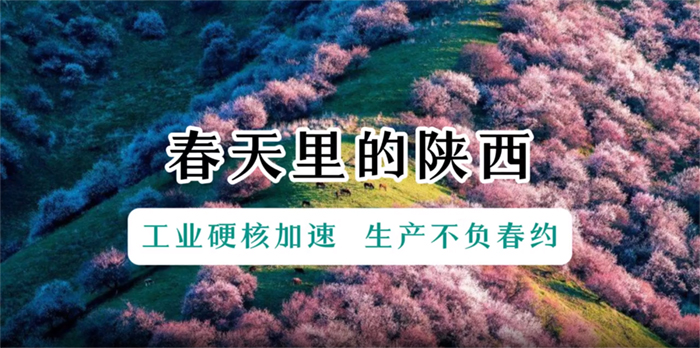 1743471589110501.jpg 未标题-1.jpg